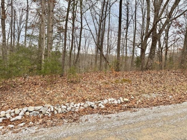 Property Photo: 214 Trailwoods Dr KY 42259