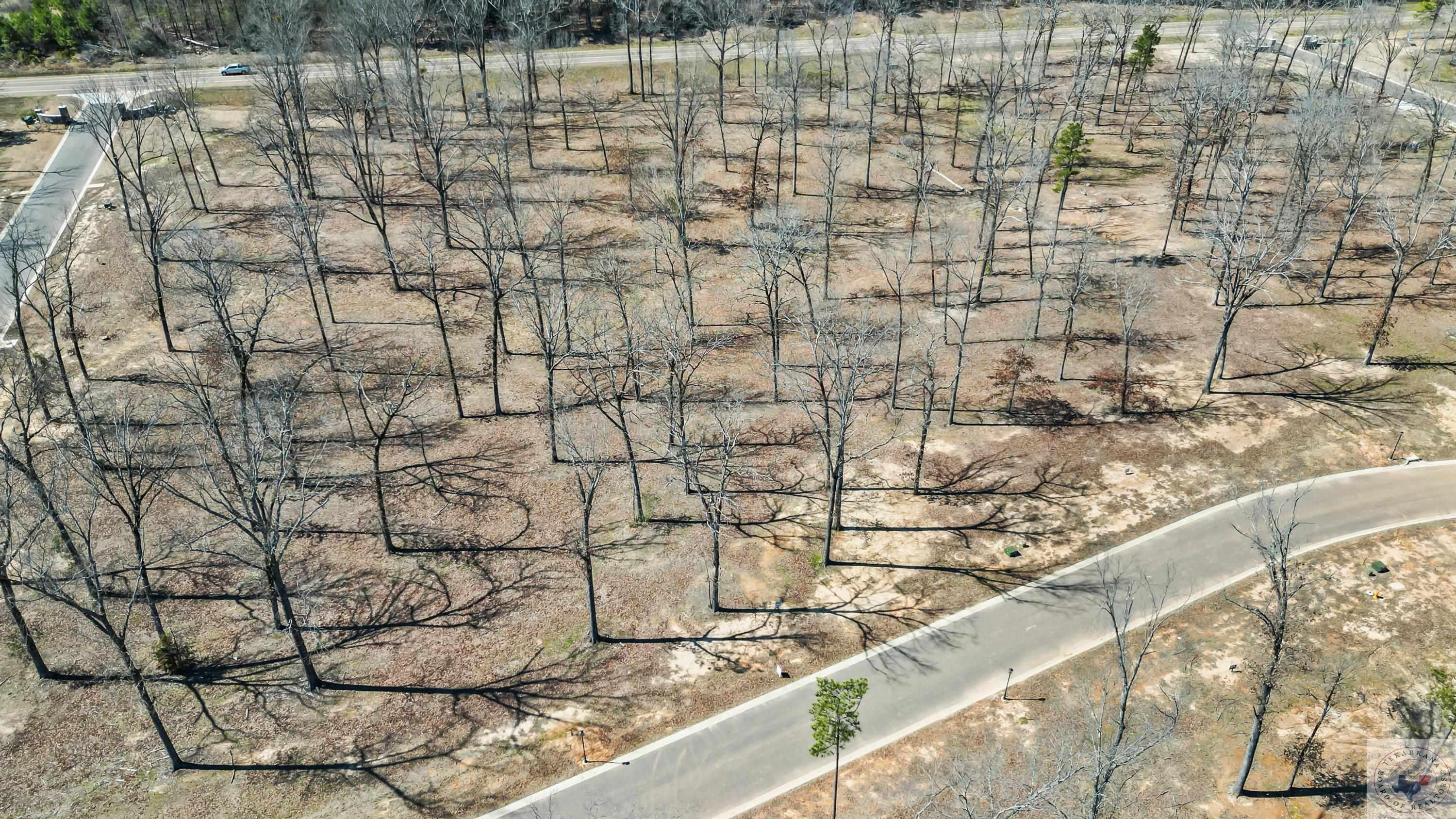 Property Photo: 6207 River Birch Way AR 71854