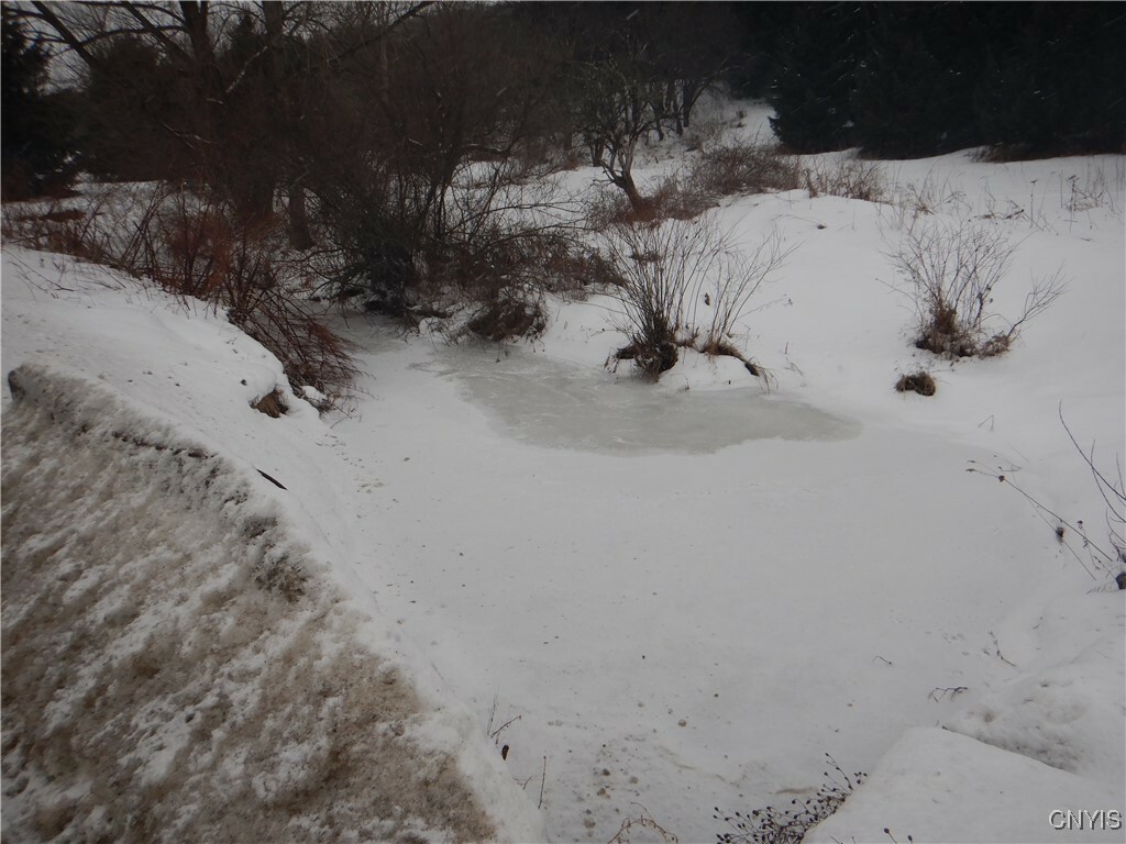 Property Photo:  Cheningo Solon Pond Road  NY 13040 