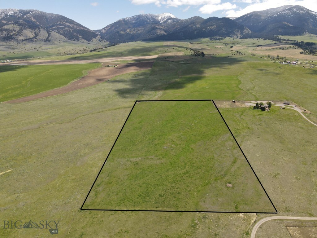 Tbd Brown Pony  Belgrade MT 59714 photo