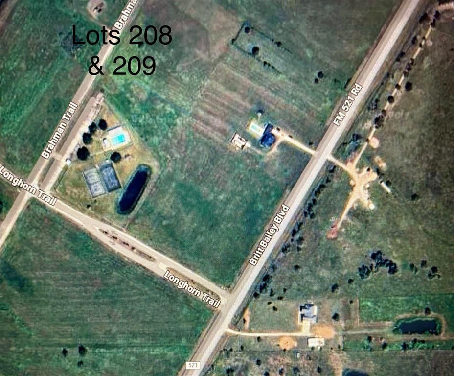 Property Photo: Lot 208 Brahman Trail Trail TX 77515