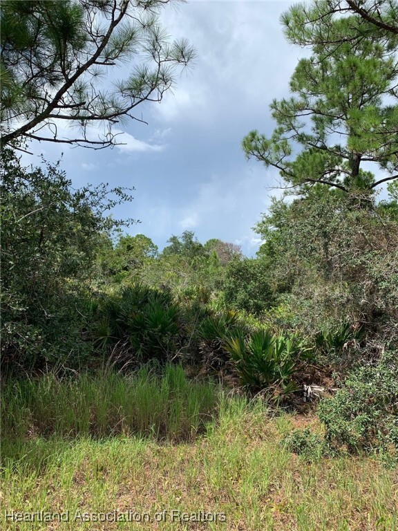 Property Photo: 225 Tomahawk Street FL 33852