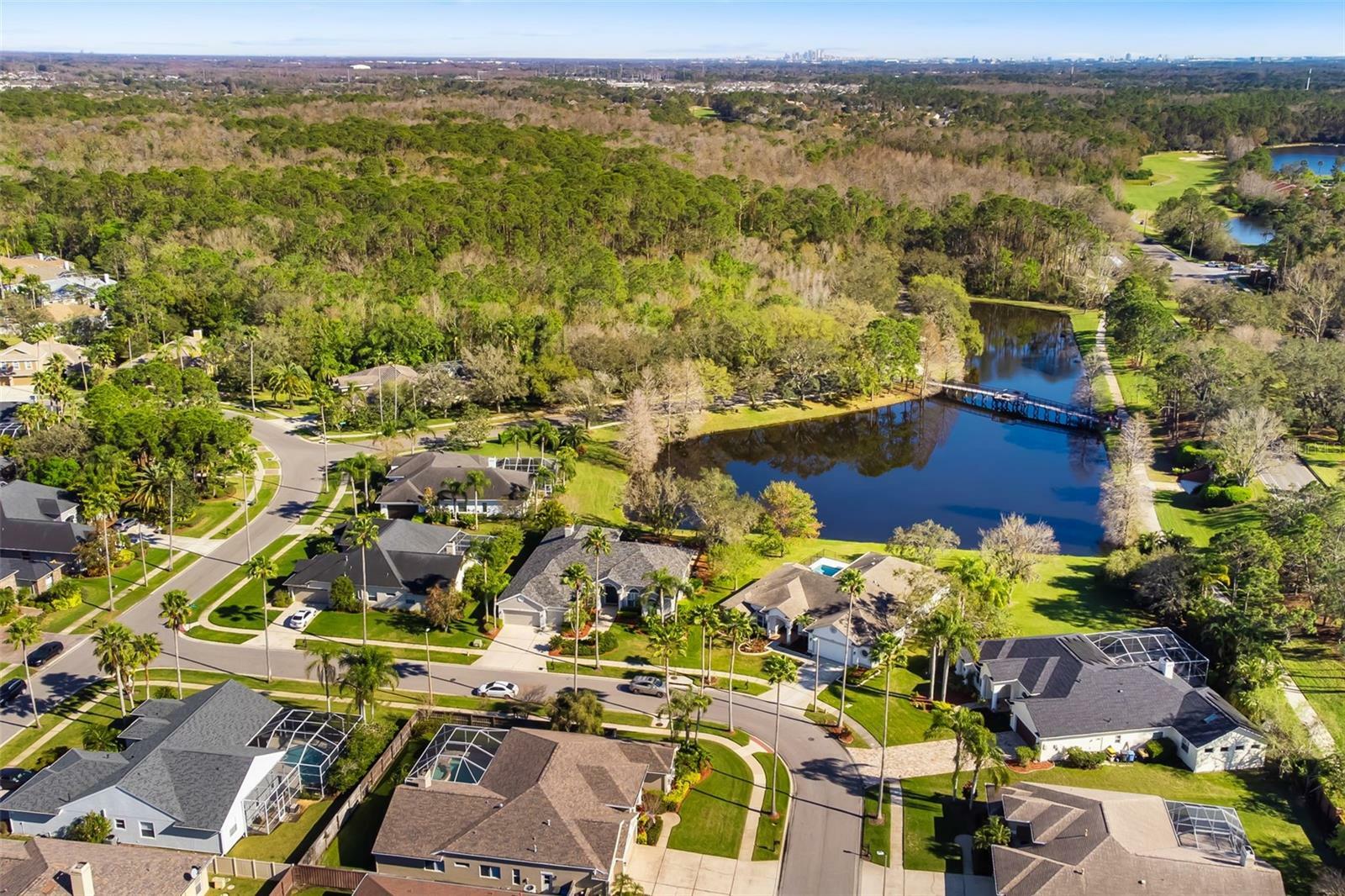Property Photo: 12027 Wandsworth Drive FL 33626