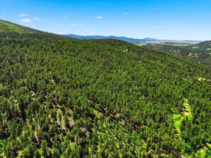 Property Photo:  Tbd Crook Mountain Road  SD 57793 