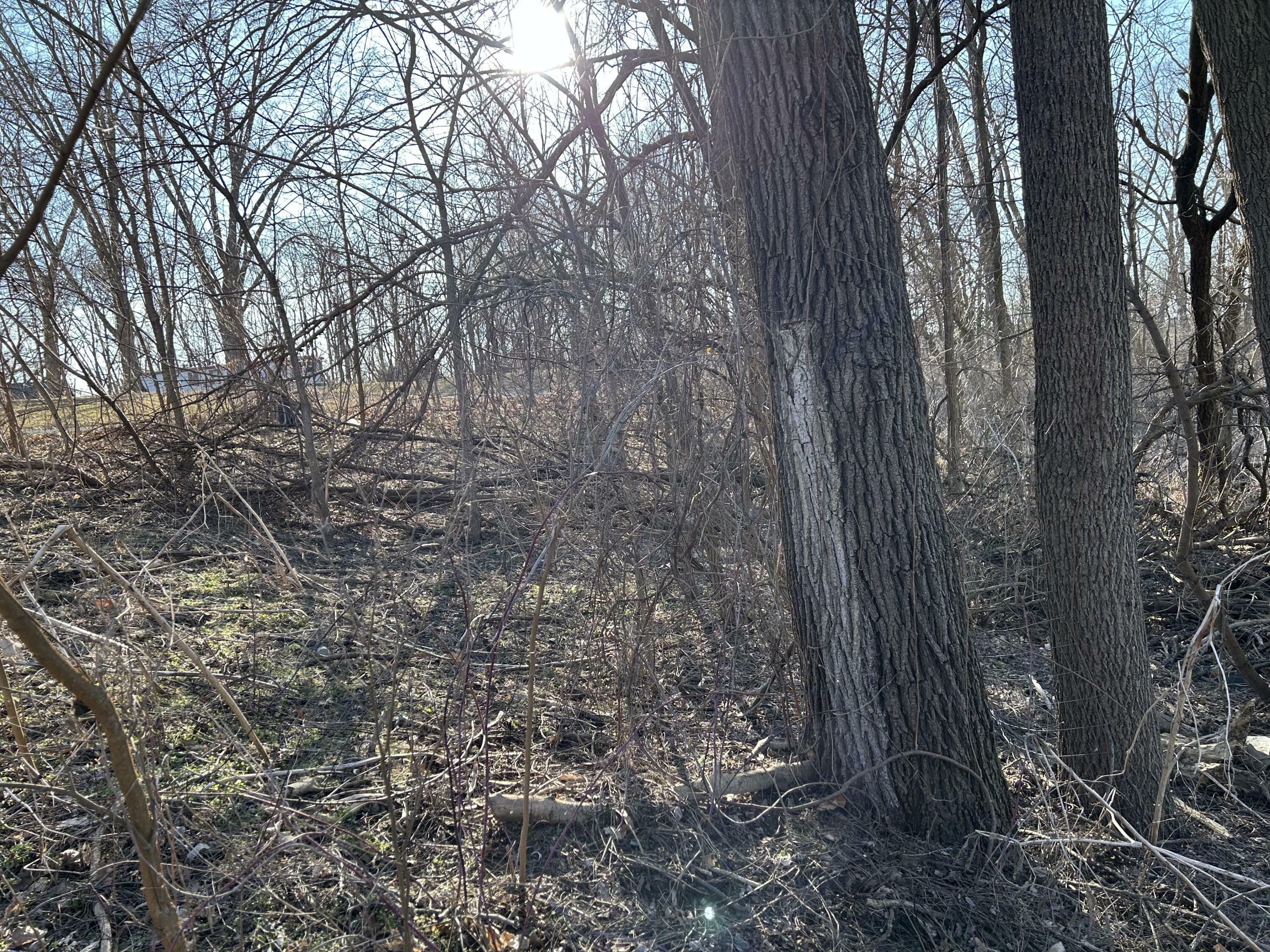 Property Photo: 512 Elm Street MI 49040