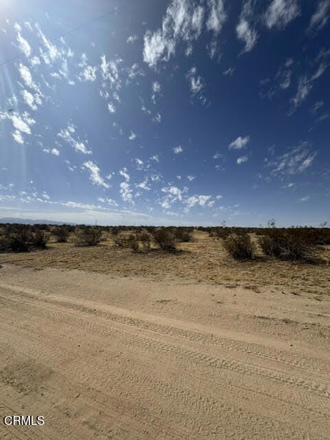 Property Photo: 0 260th Street CA 92301