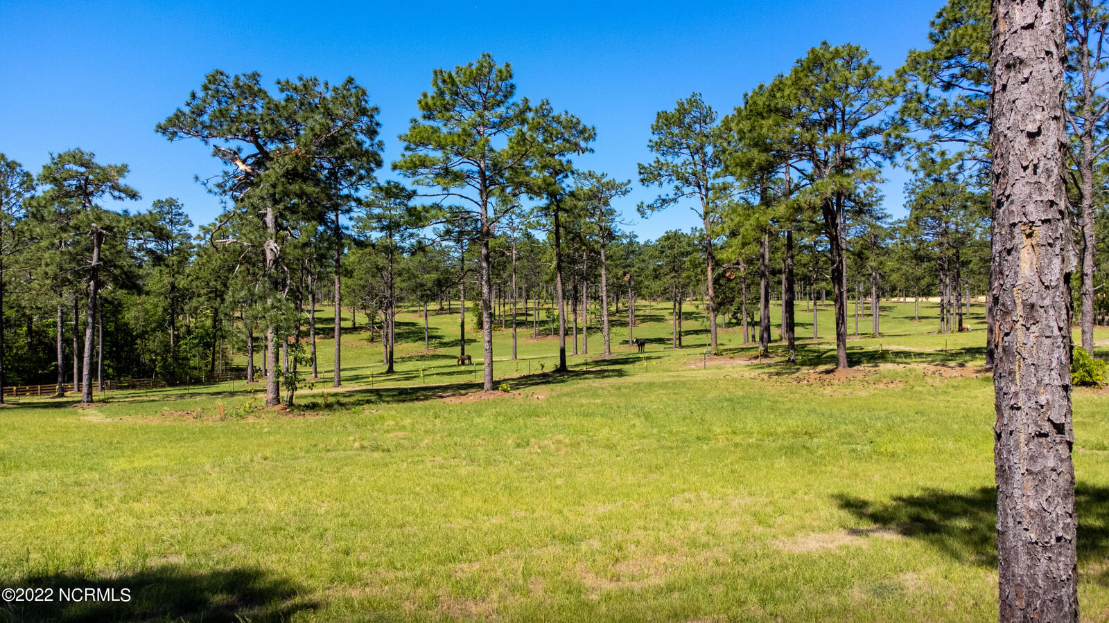 Property Photo:  184 Youngs Road  NC 28394 