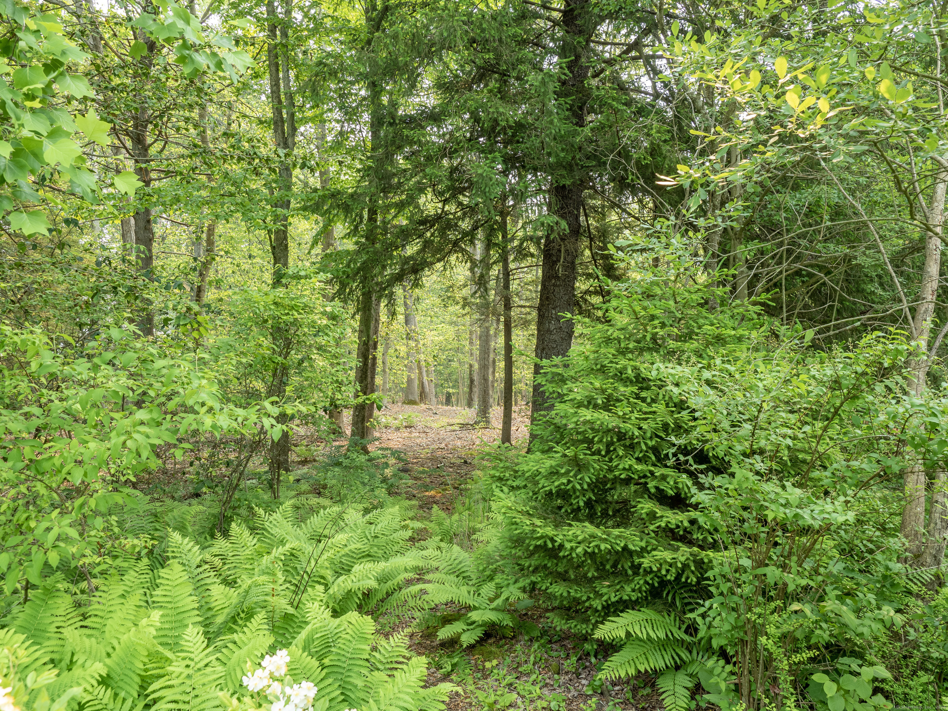 South Salem Road  Ridgefield CT 06877 photo