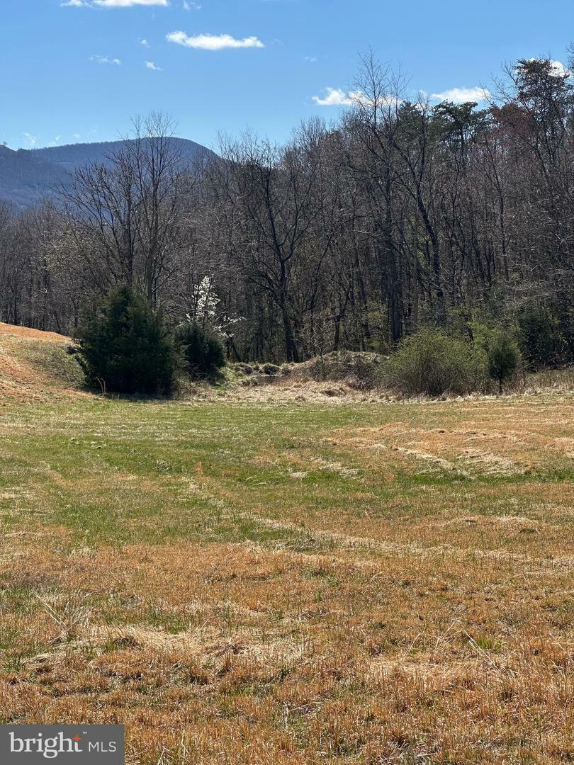 Property Photo: Lot C Russ Johnson Road VA 22630