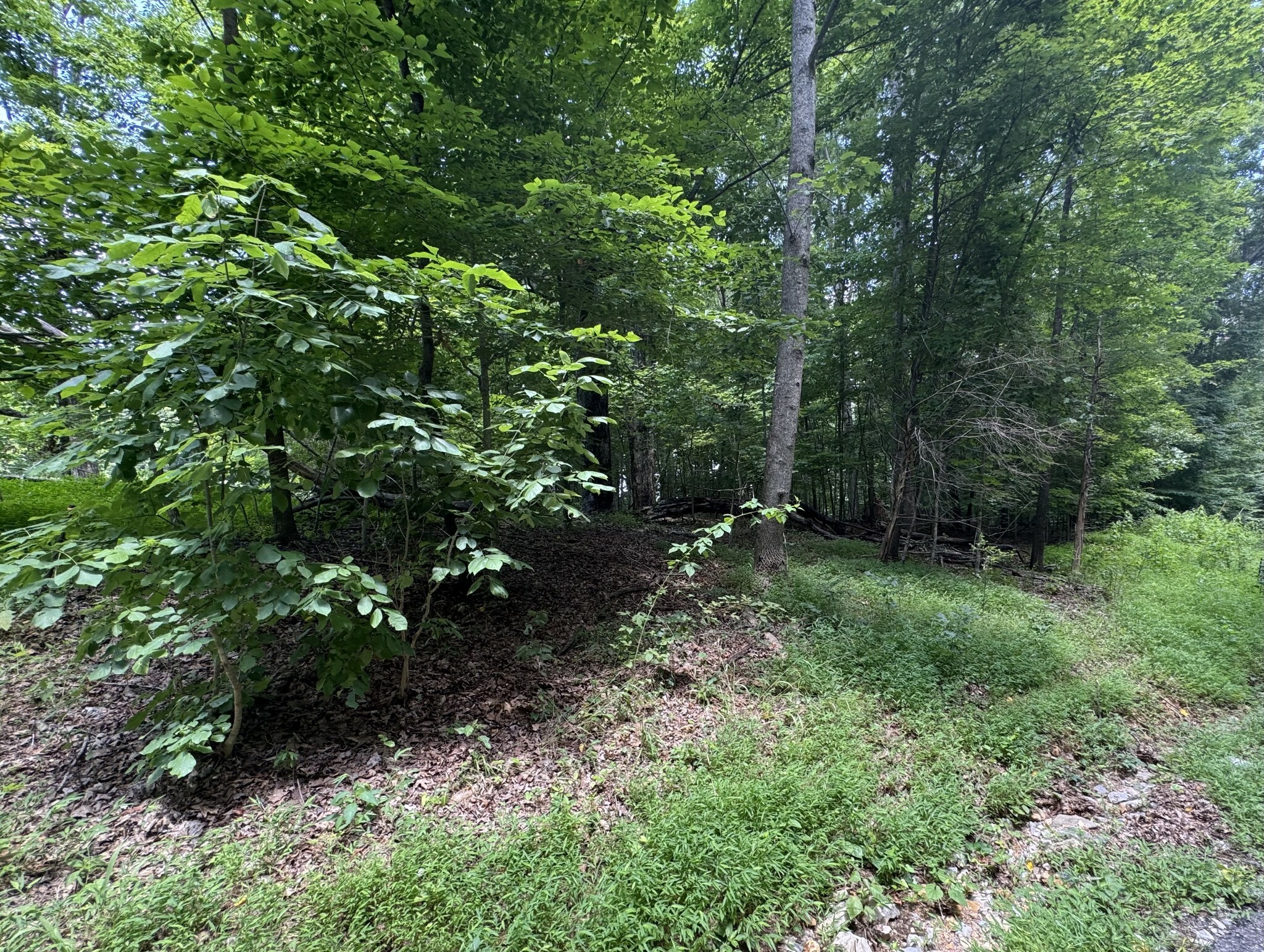 Property Photo:  0 Old Stage Rd  TN 37055 