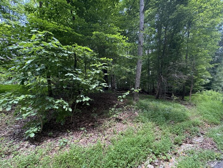 Property Photo: 0 Old Stage Rd TN 37055