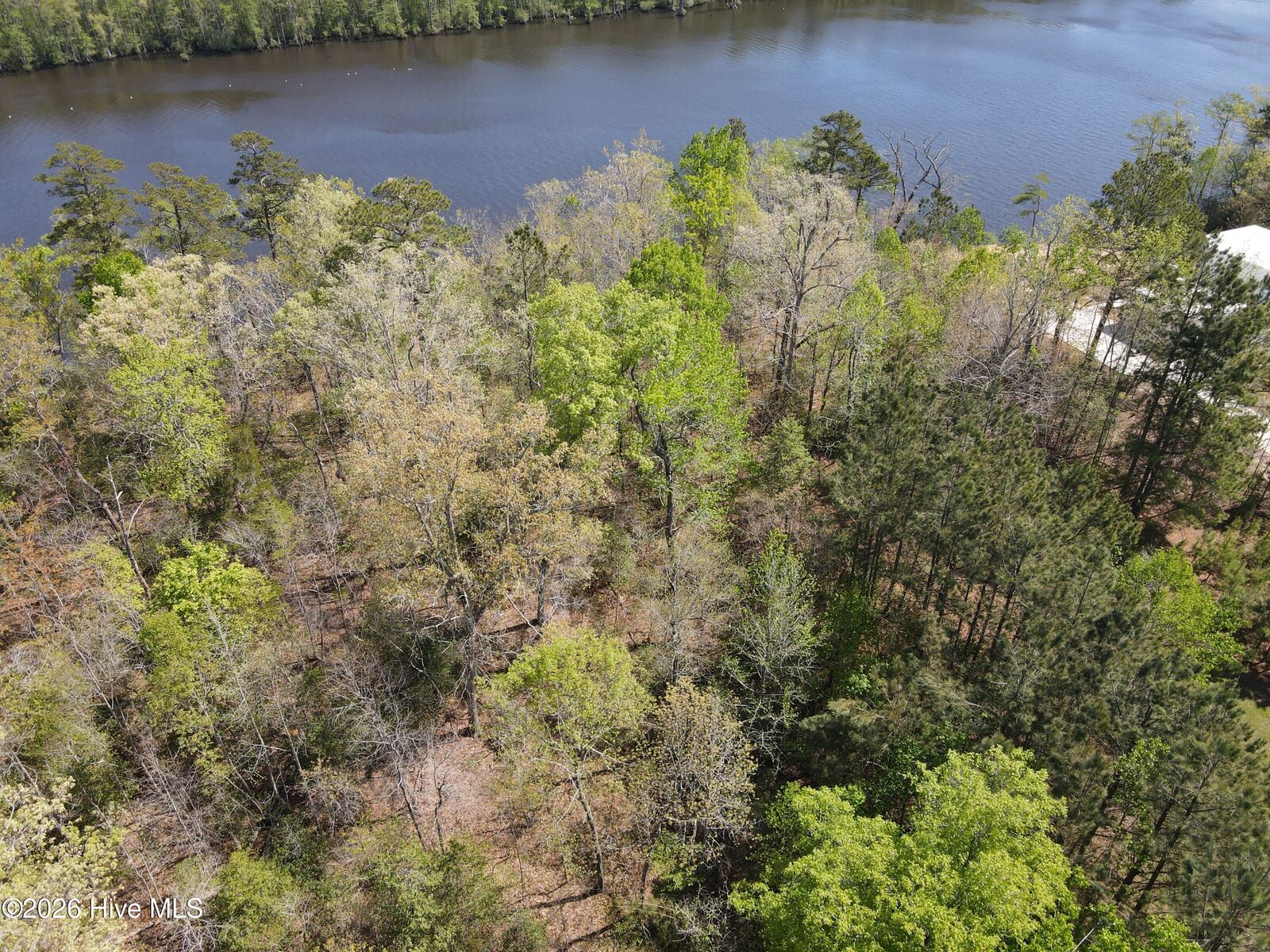 Property Photo: Lot 13 13 River Bluff Drive NC 27986