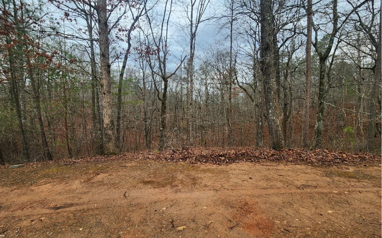 Property Photo: Lot 9 Harris Creek Drive GA 30540