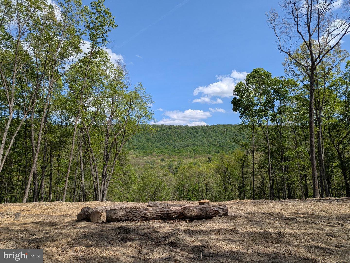 Property Photo:  Lot 20 Otter Creek Drive  WV 25420 
