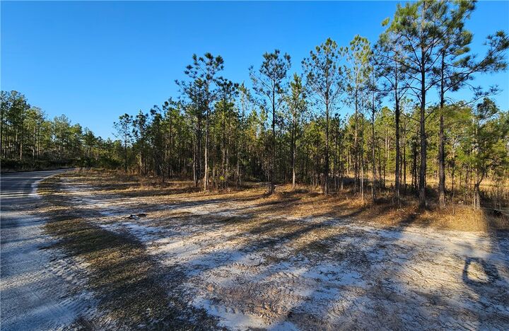 Property Photo: 42 Satilla Plantation Drive GA 31566