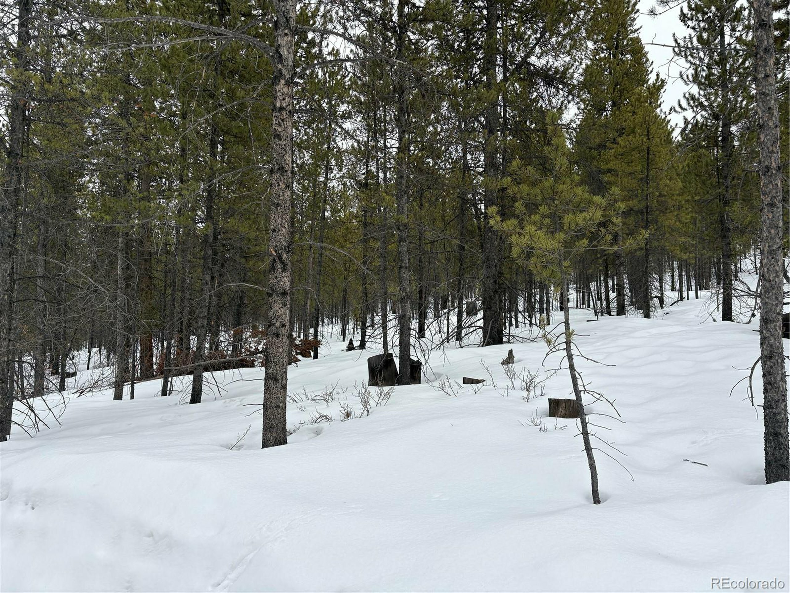 Property Photo:  