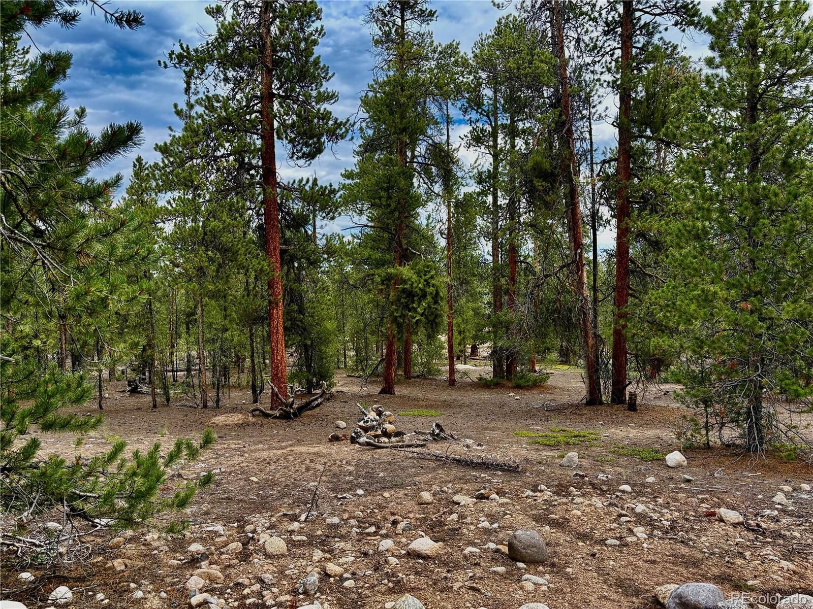 Property Photo:  