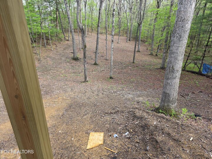Property Photo:  235 Estates Lake Drive  TN 38571 