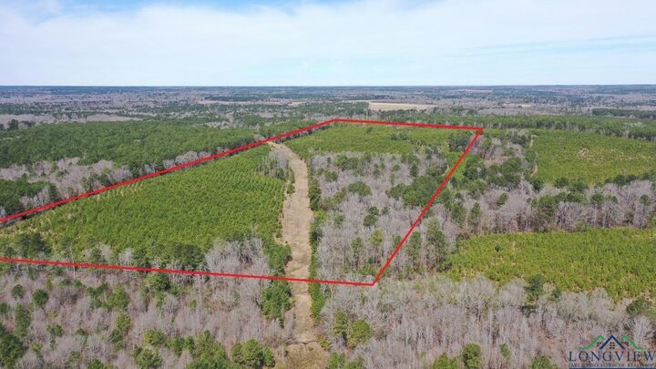 0003 Cr 1115  Atlanta TX 75551 photo