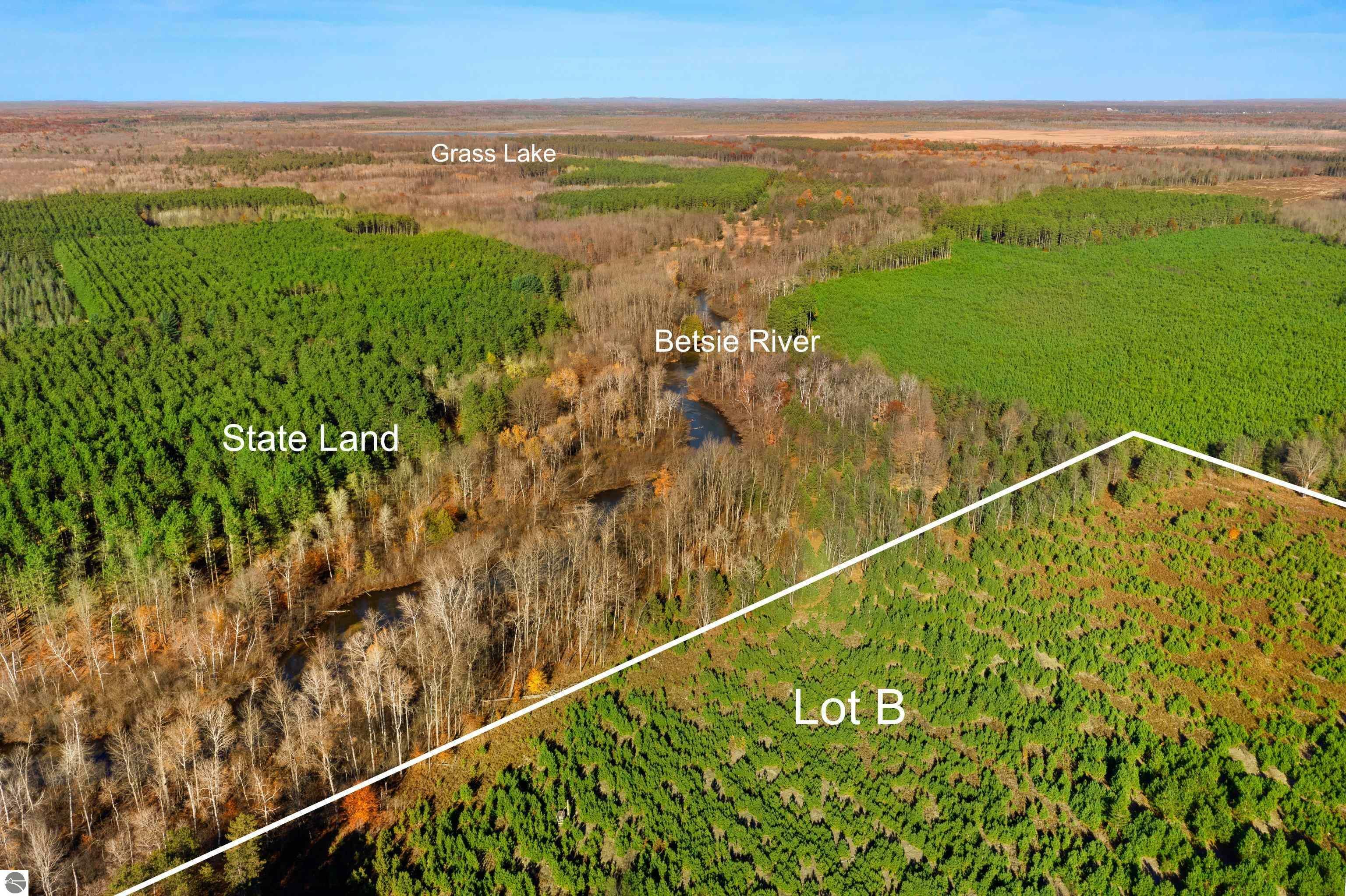 Property Photo: 15 Acres D Wallin Road MI 49683
