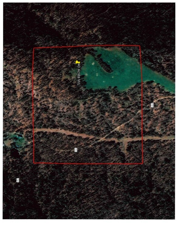Tbd County Road 731  Berryville AR 72616 photo