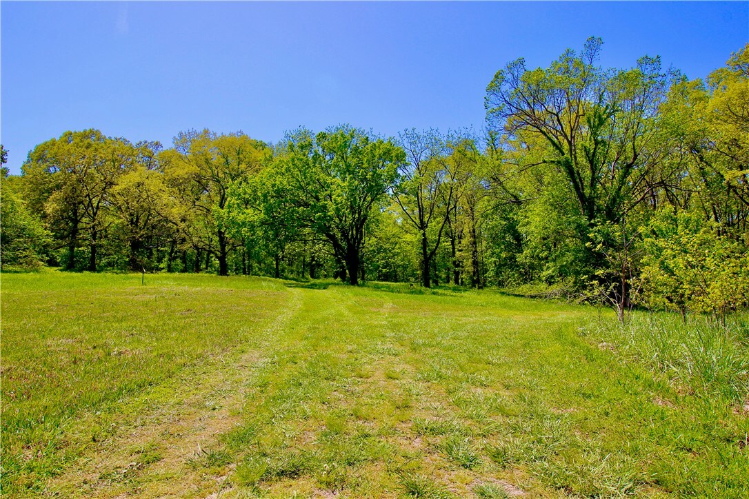 US-62 Spur Road  Berryville AR 72616 photo