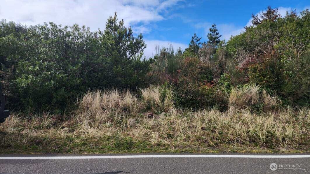 Property Photo:  737  Ocean Shores Boulevard SW  WA 98569 