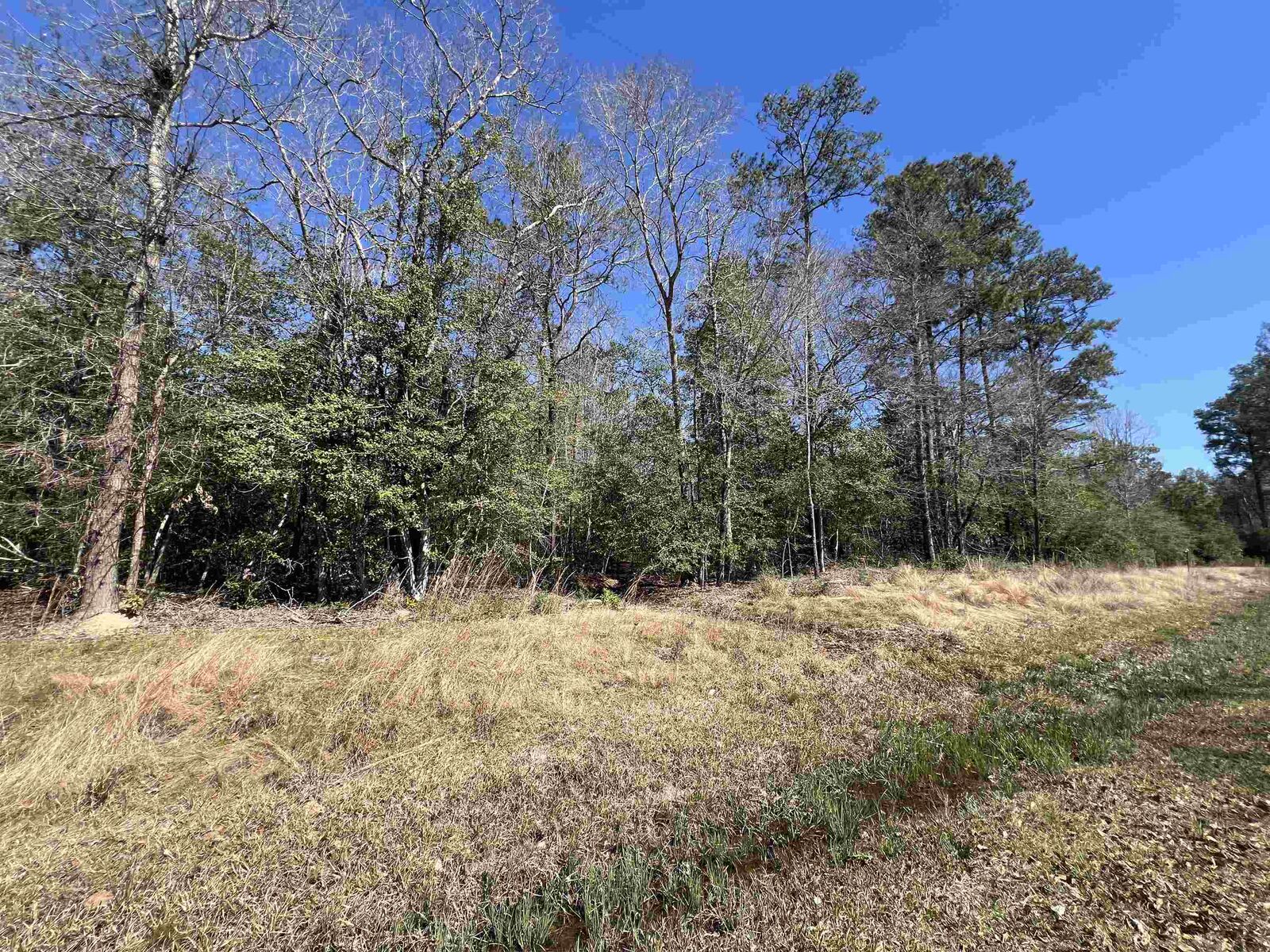 Property Photo: Tbd Laird Rd. TX 77625