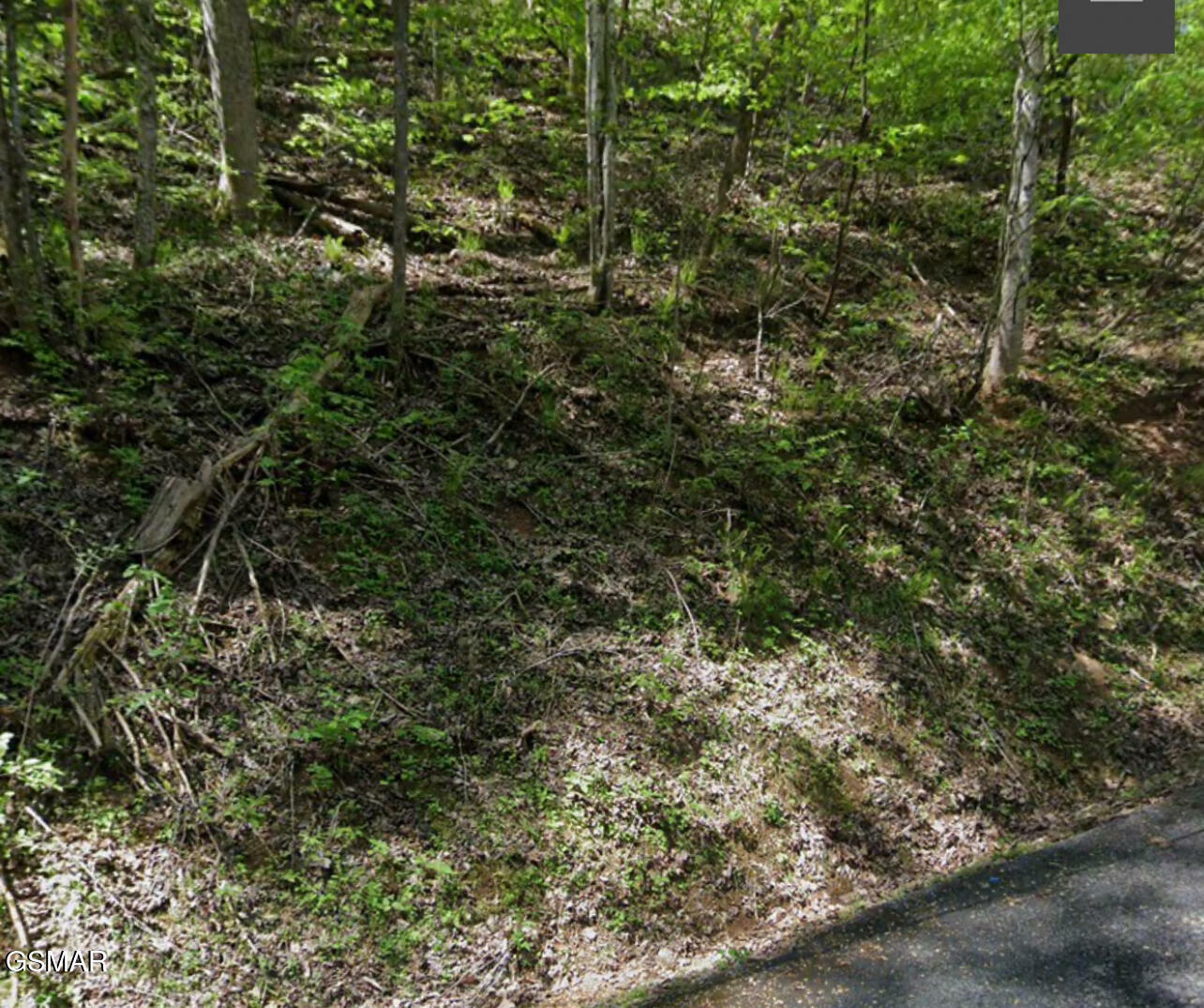 Property Photo:  Lot 331 Ridgefield Drive  TN 37876 