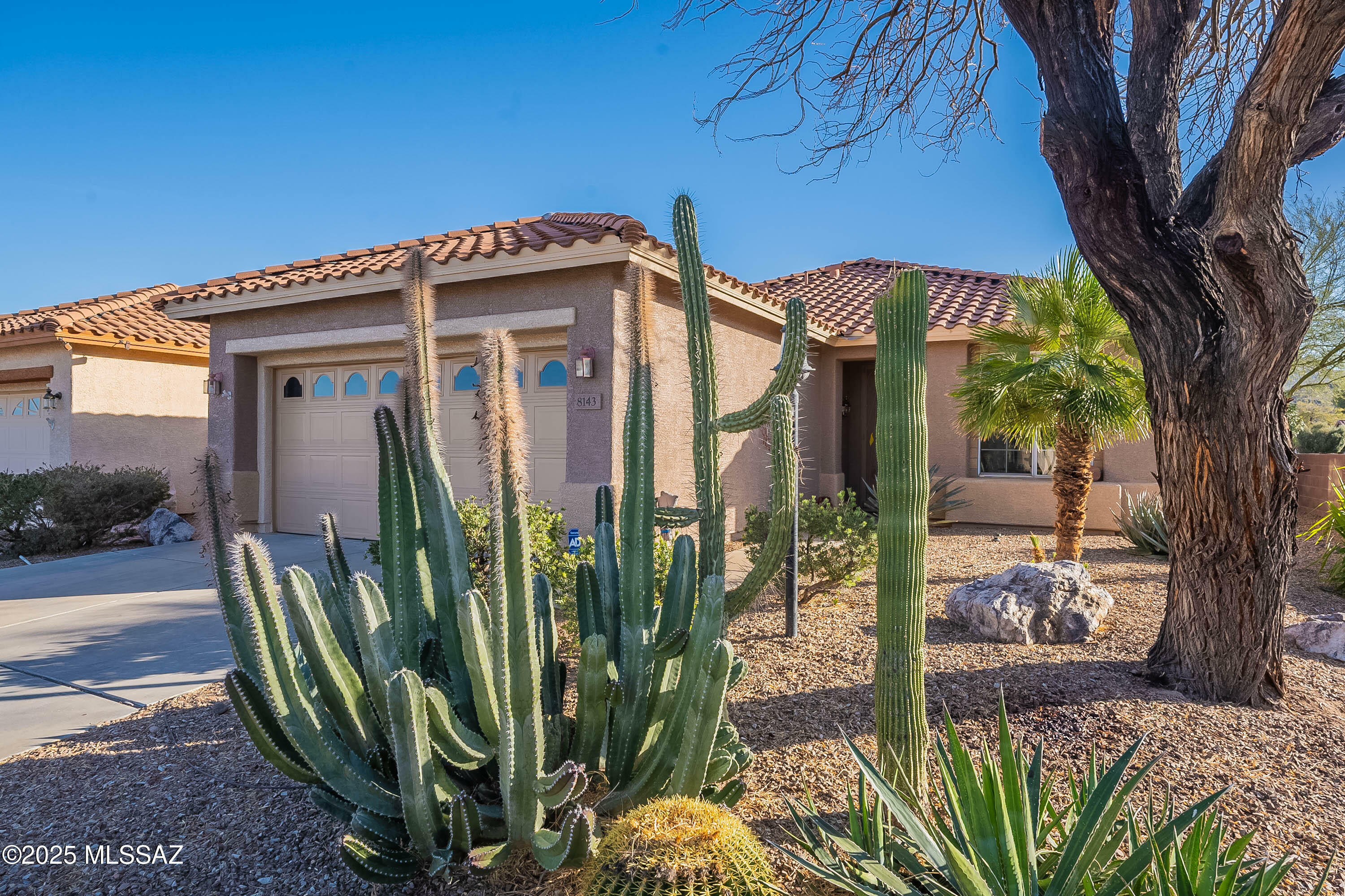 Property Photo:  8143 W Cottonwood Wash Way  AZ 85743 