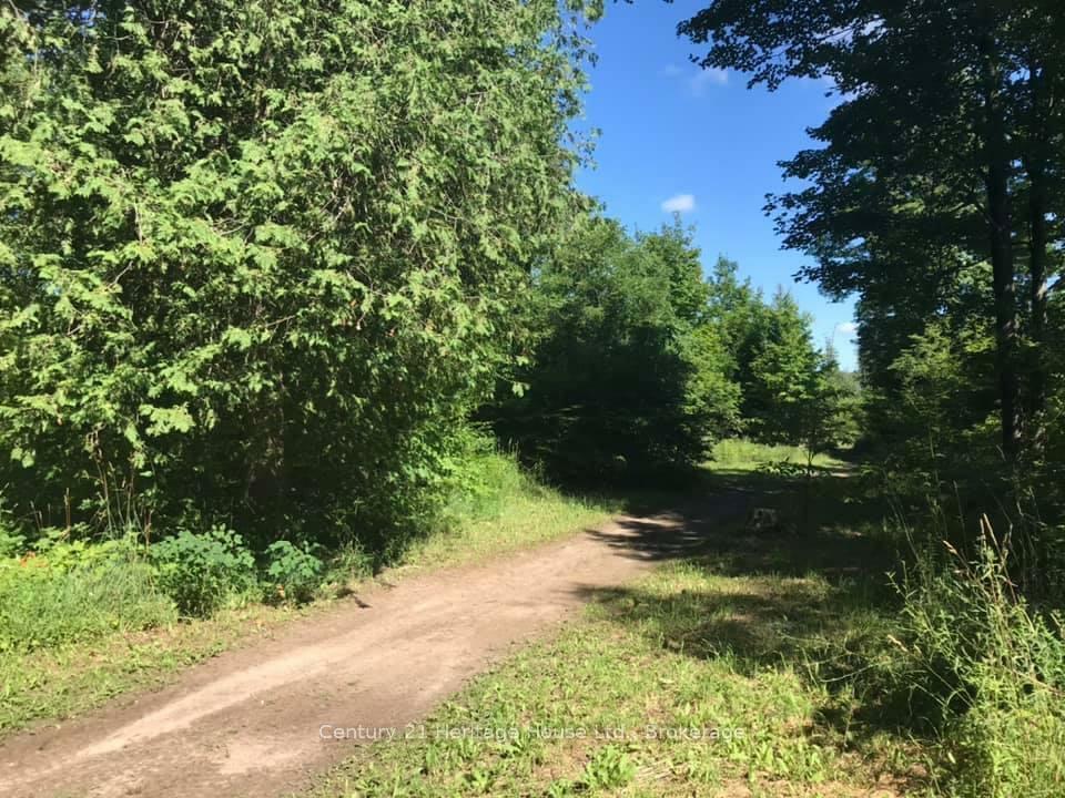Property Photo: 0 Pt Lt 48 Con 3 Egr Acres N ON N0C 1K0