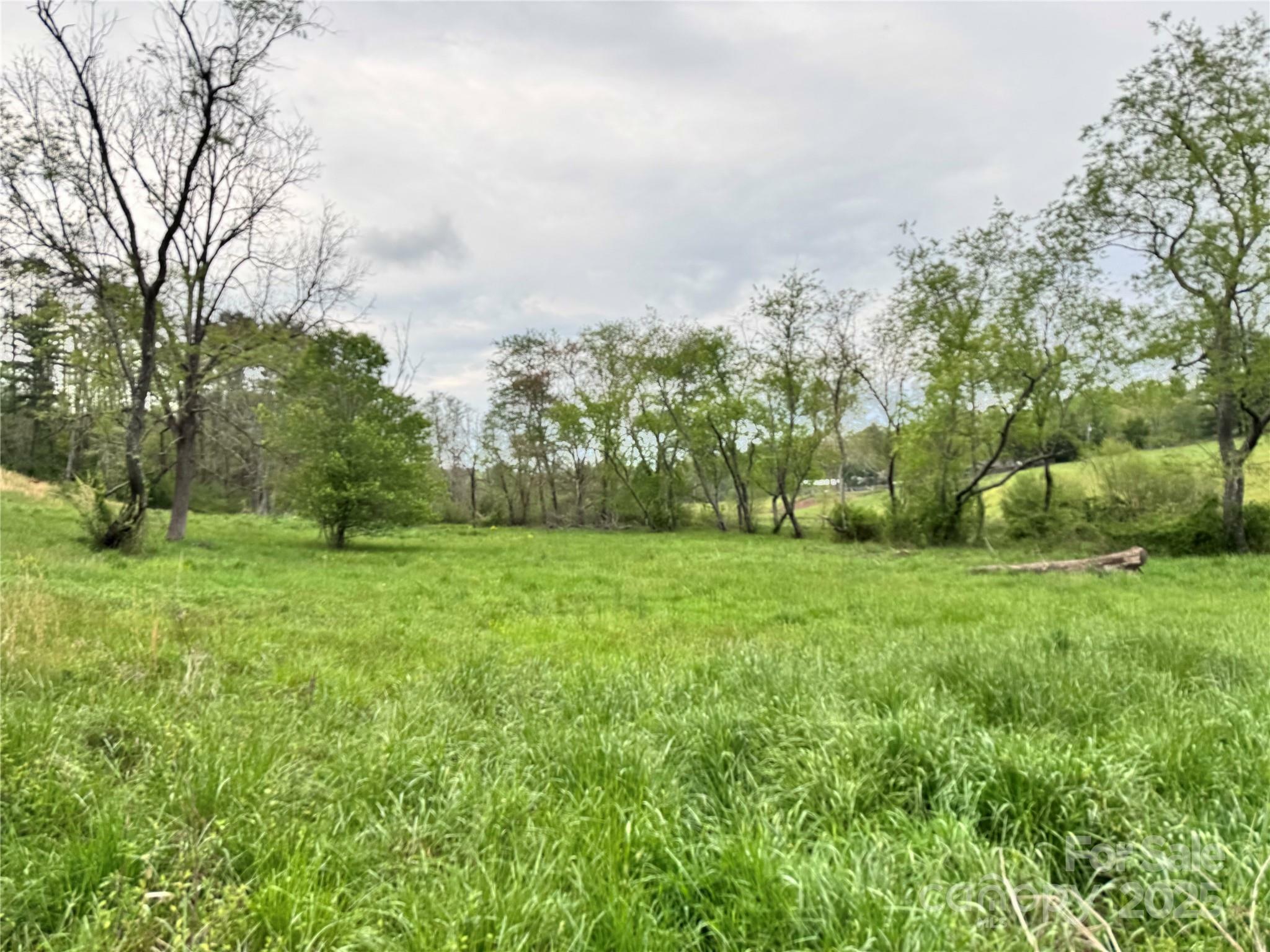 Property Photo: 38 Flourish Farm Lane NC 28806