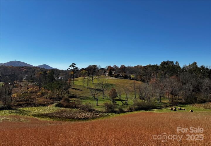 Property Photo: 38 Flourish Farm Lane NC 28806