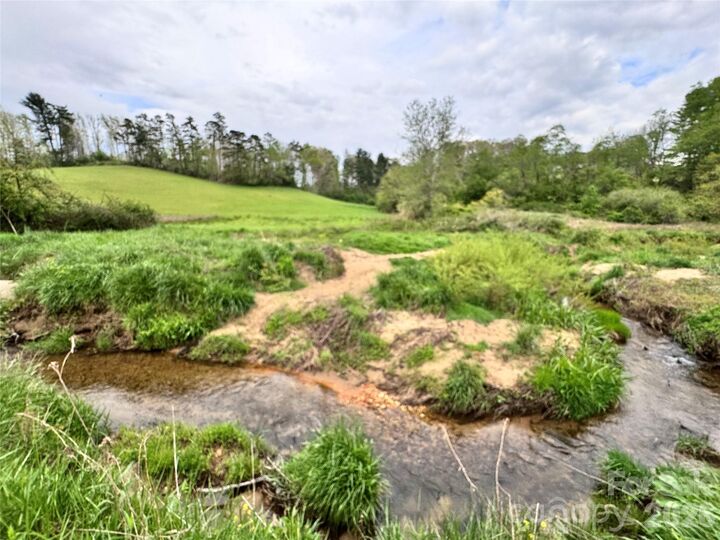 Property Photo: 38 Flourish Farm Lane NC 28806