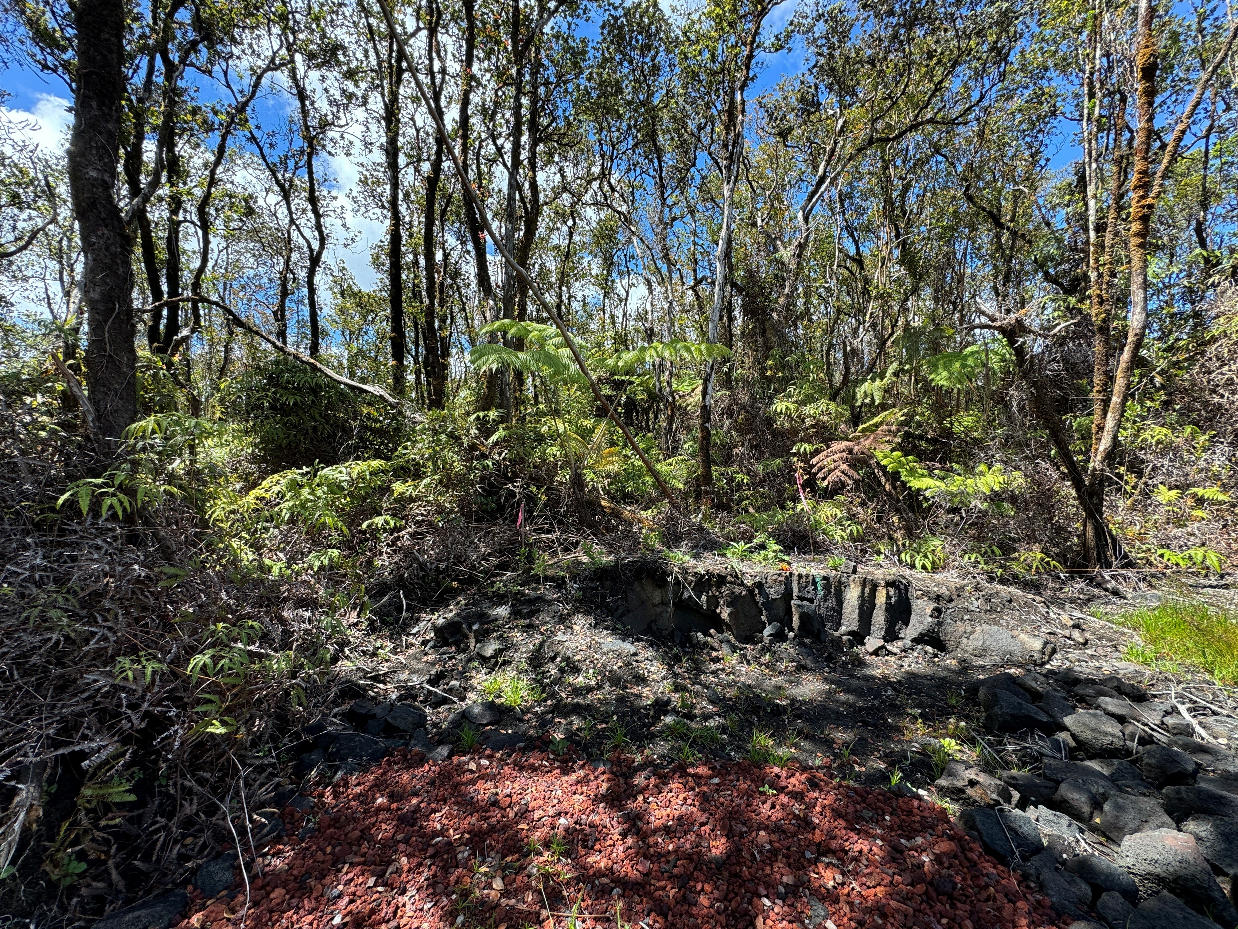 Property Photo:  Mokuna St  HI 96785 