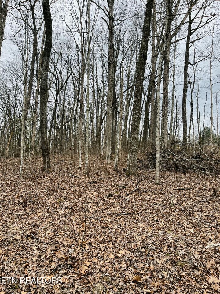 Property Photo: 19A Burchett Drive TN 38572