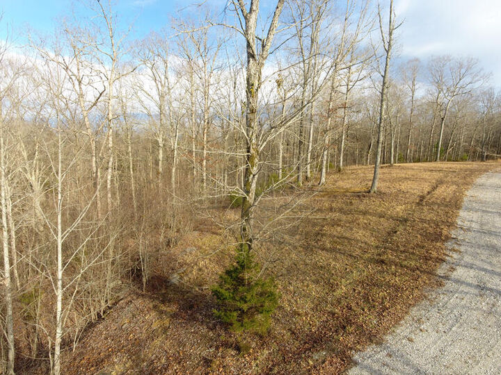 Property Photo: Lot 89 Cumberland Shores KY 42633
