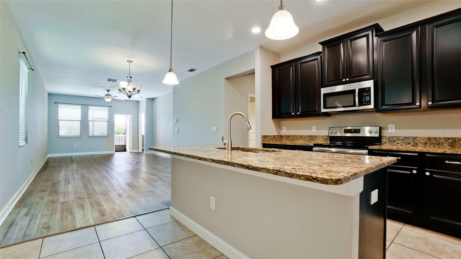 Property Photo: 1819 Redmond Brook Lane FL 33570