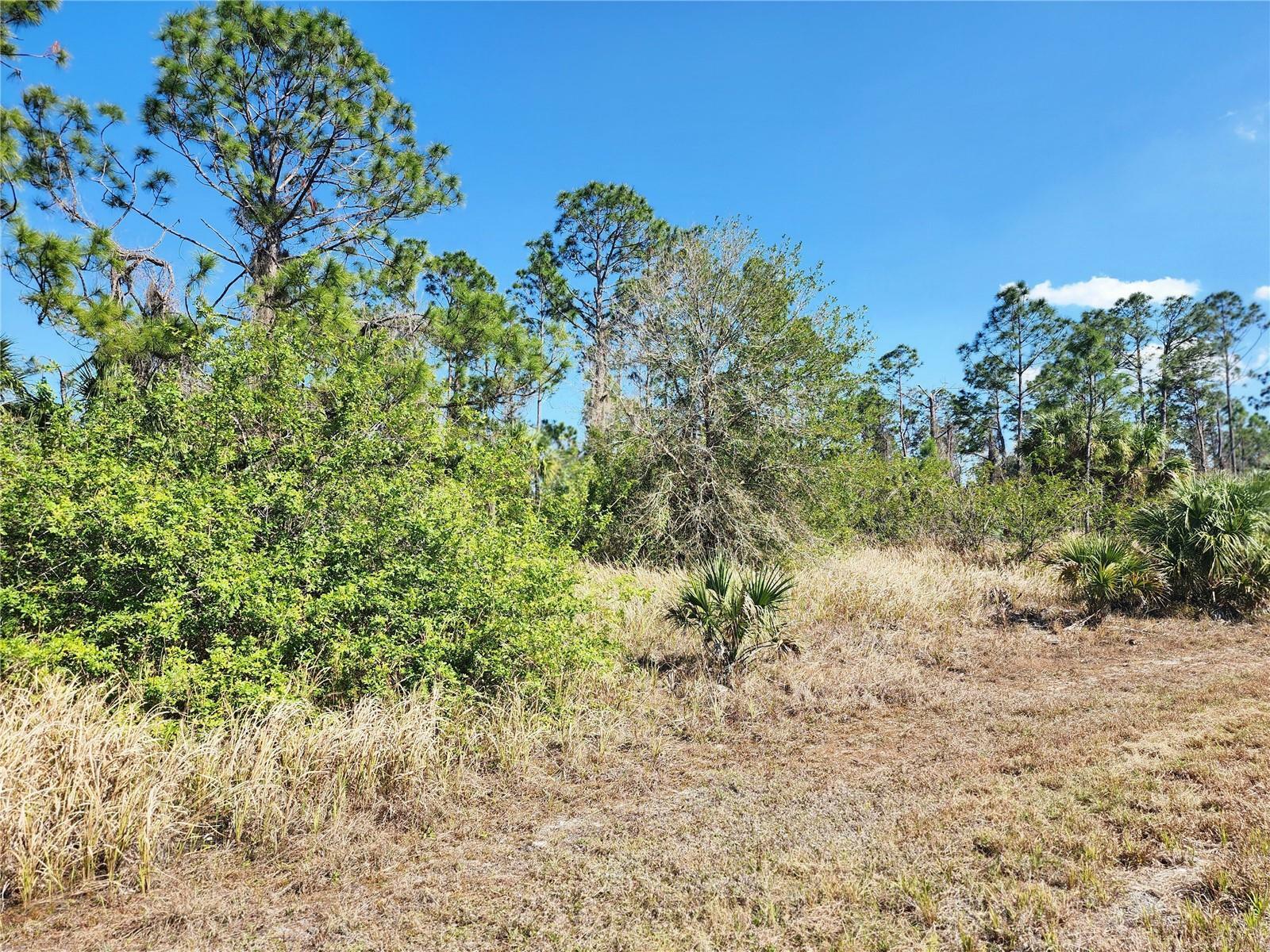 Property Photo:  Lot 14 Hamerton Road  FL 34288 