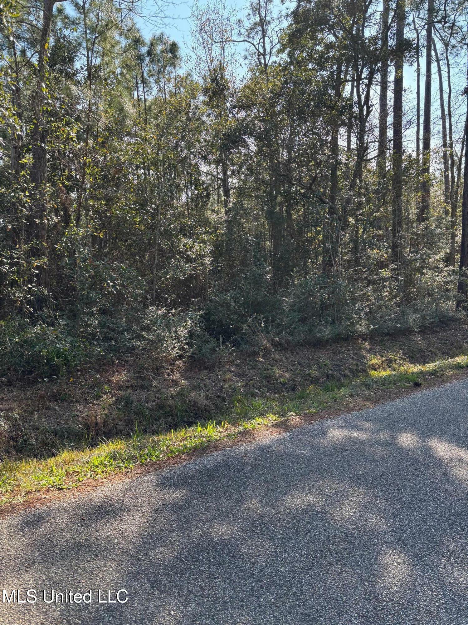 Property Photo:  Audubon Lane  MS 39571 