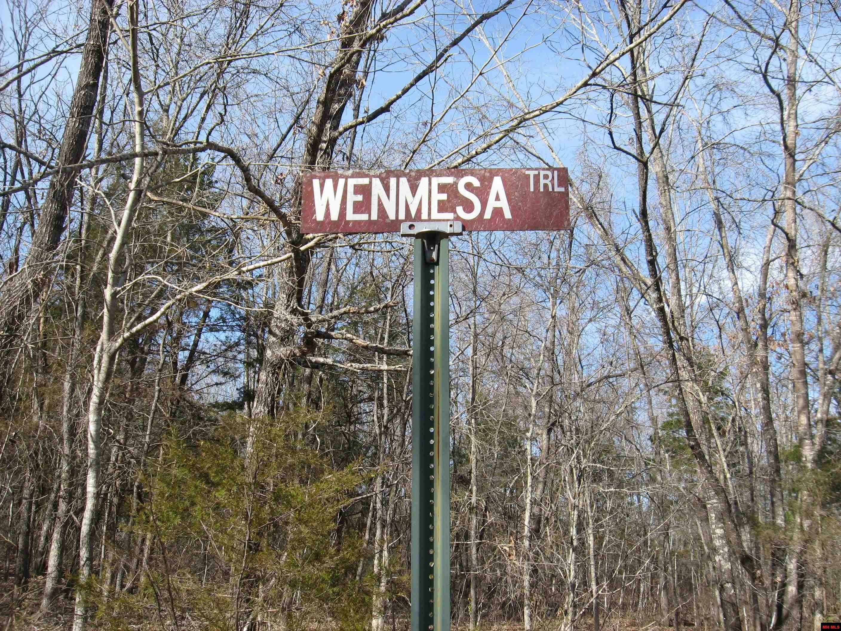 Property Photo: 73 Wenmesa Trail AR 72653