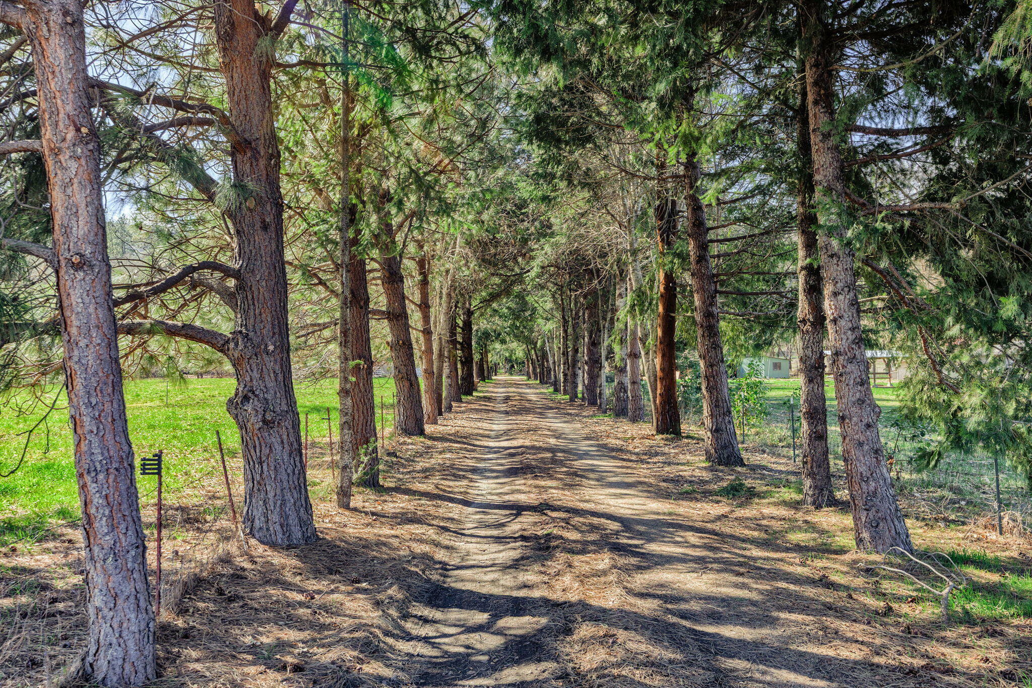 Property Photo:  8755 Old Stage Road  OR 97502 