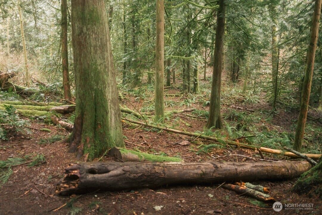 Property Photo:  0  Lopez Street  WA 98229 