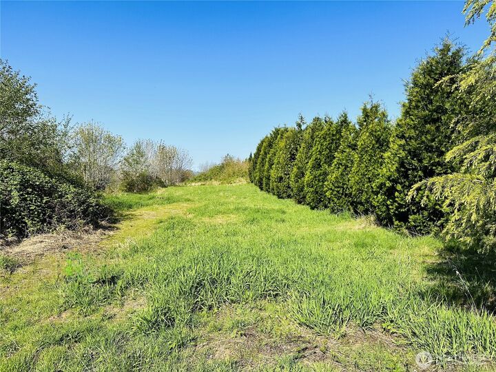 Property Photo: 295 Degoede Drive WA 98564