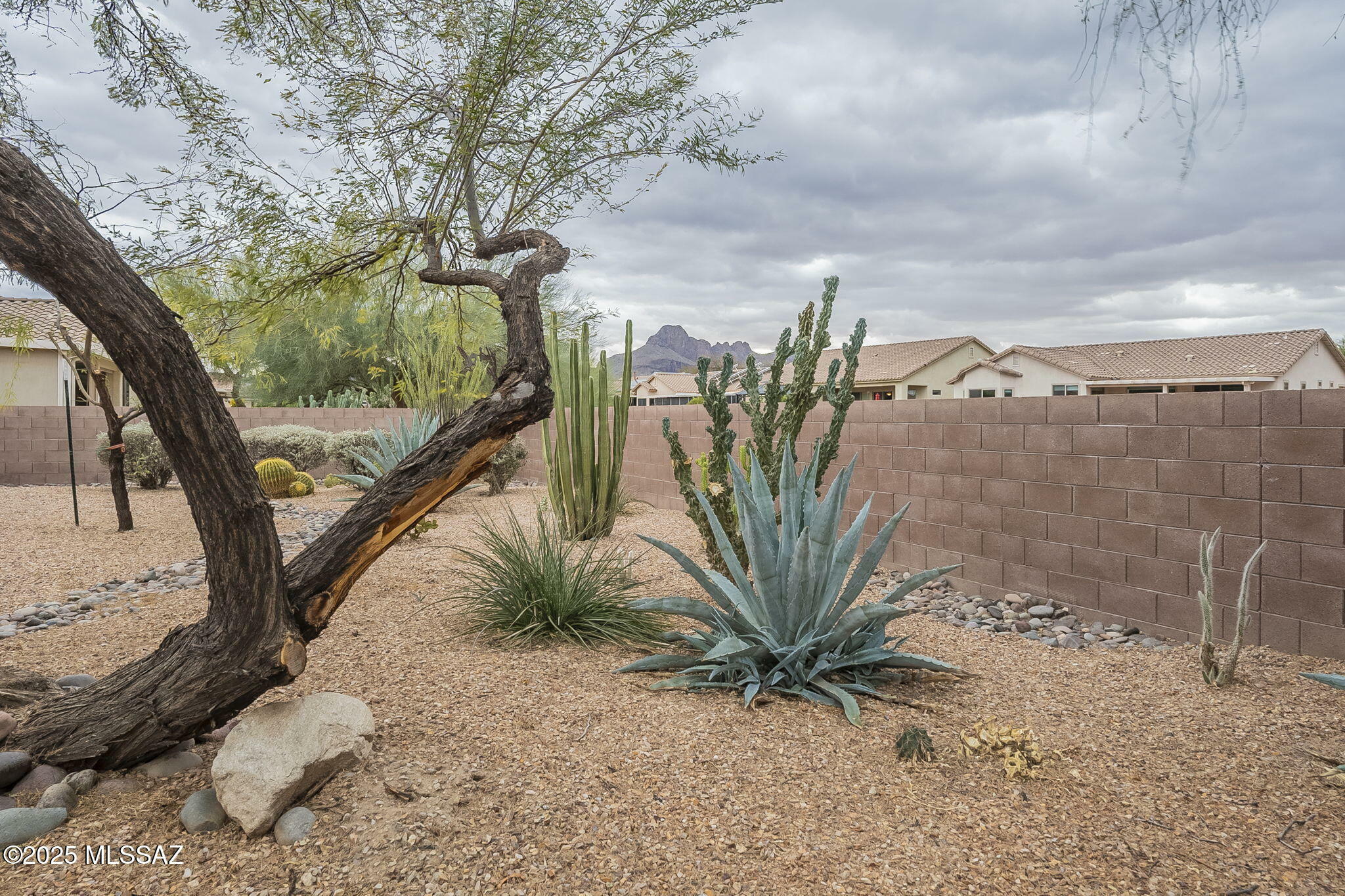 Property Photo:  9373 N Sombrero Canyon Drive  AZ 85743 