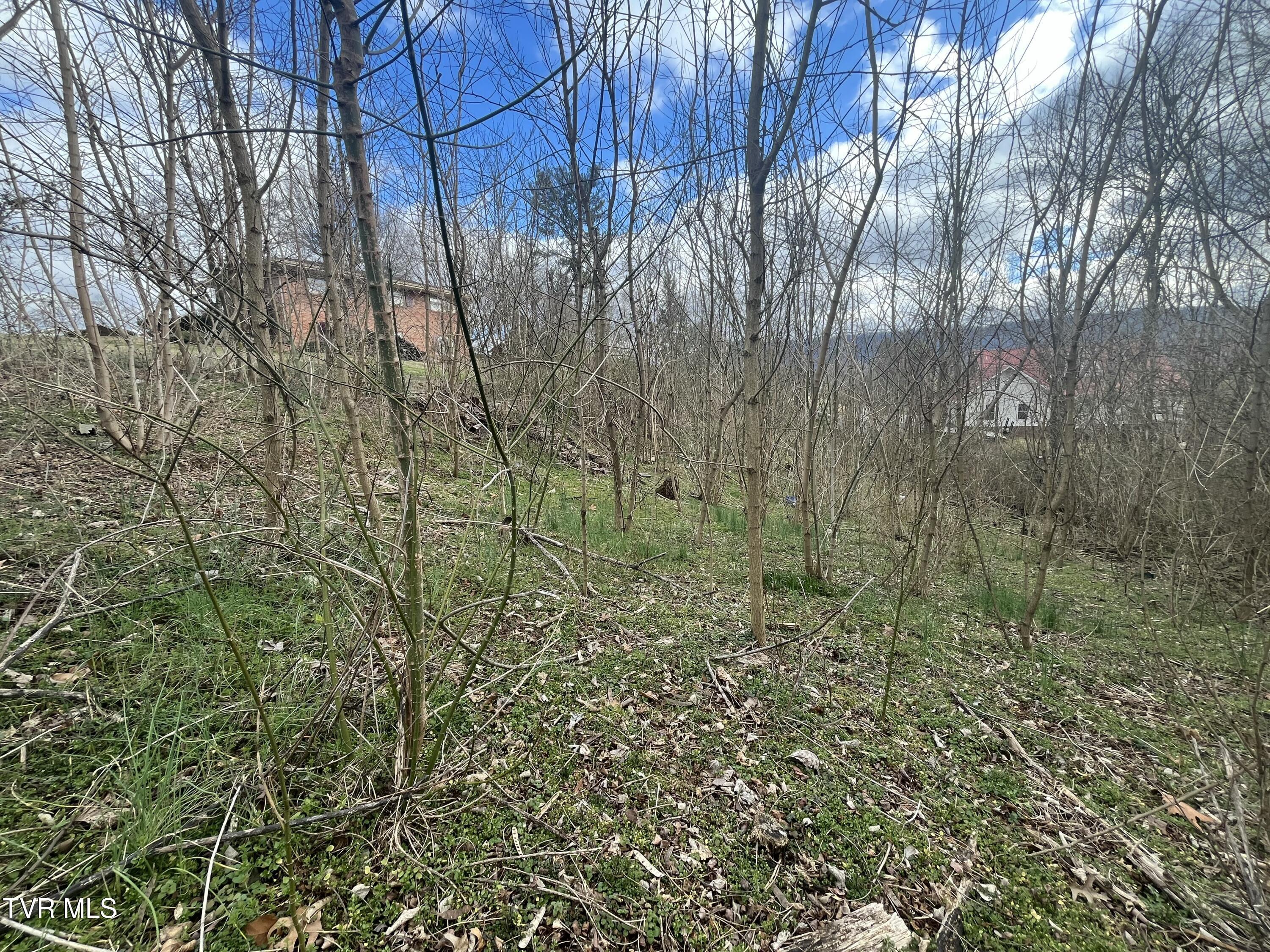 0 Jennings Drive  Kingsport TN 37660 photo