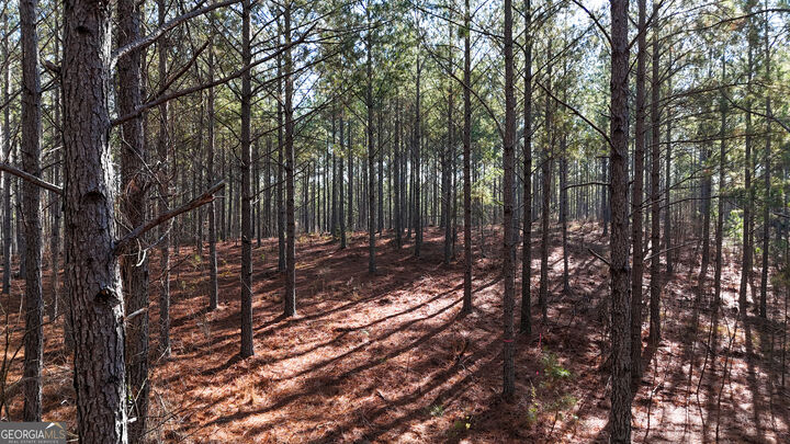 Property Photo:  32 Acres On Bac Tract 14  GA 30730 
