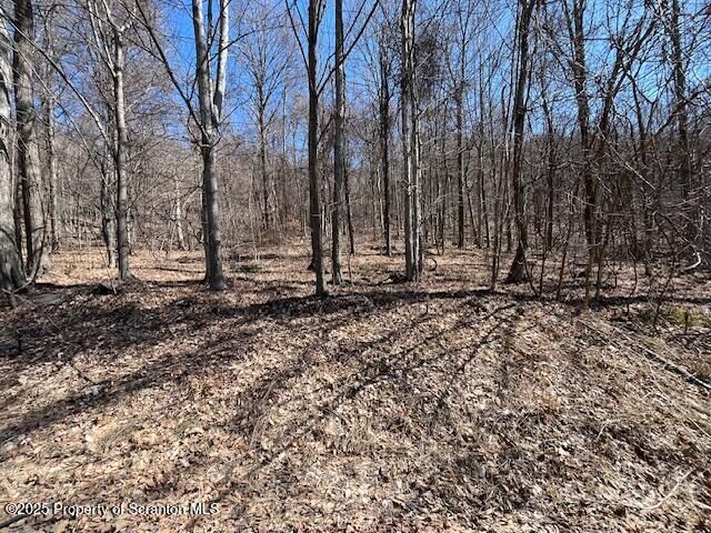 Property Photo:  Lot 37 Johnson Hill Rd.  PA 18407 