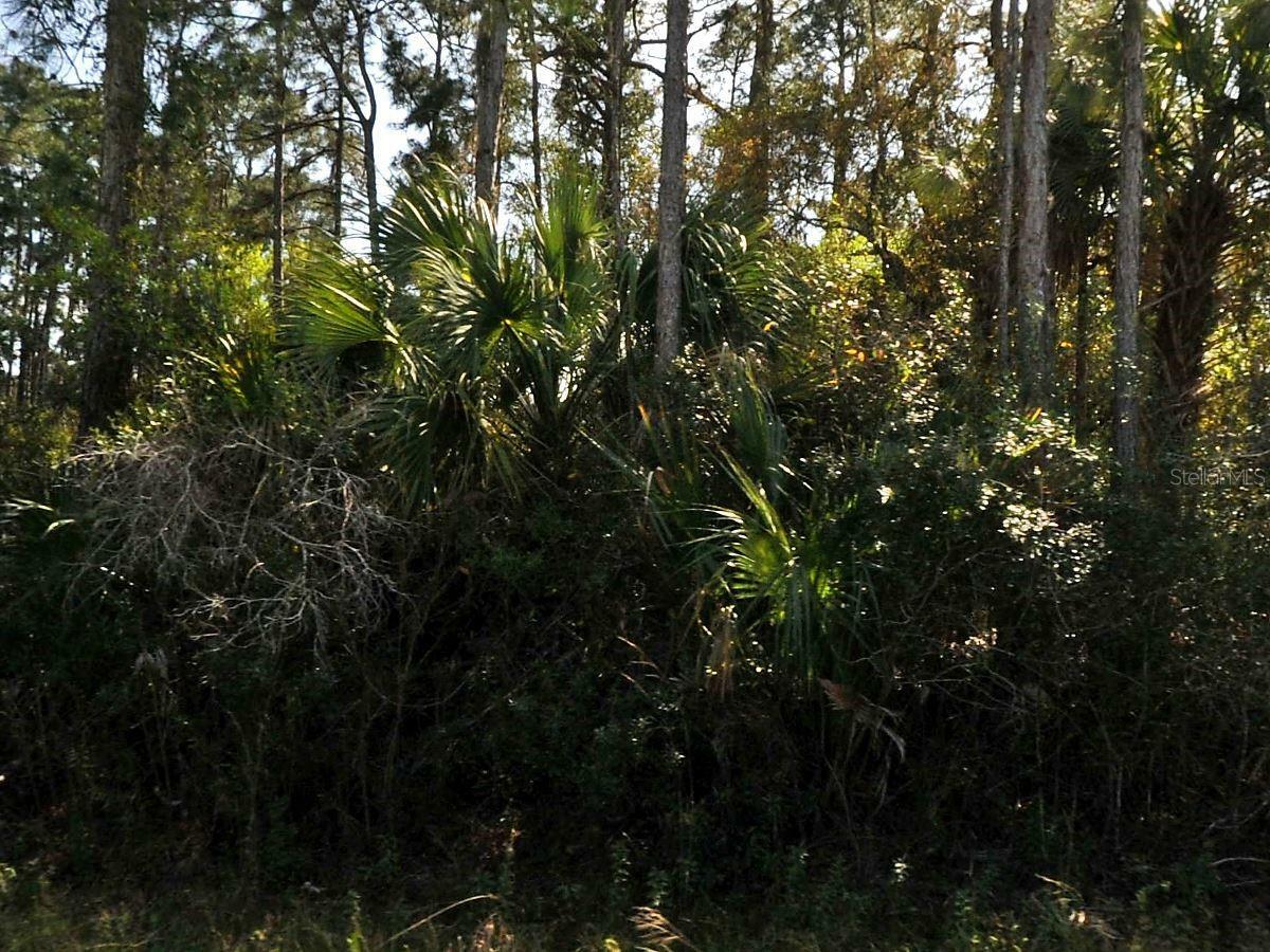 Property Photo: Eldron Avenue FL 34286