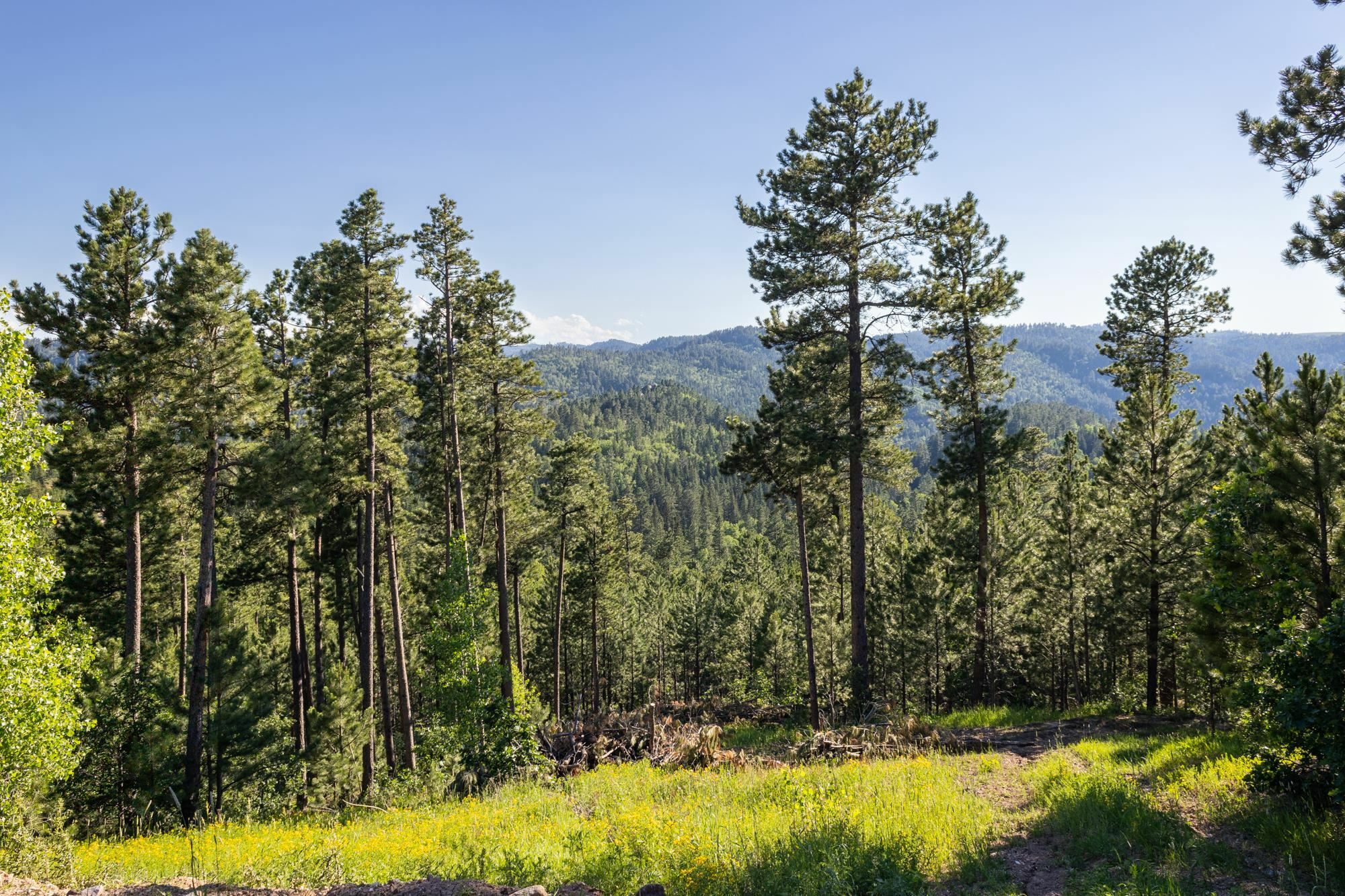 Lot 142 Paradise Gulch Loop  Lead SD 57754 photo
